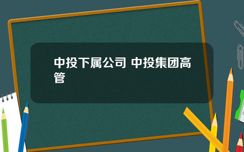 中投下属公司 中投集团高管